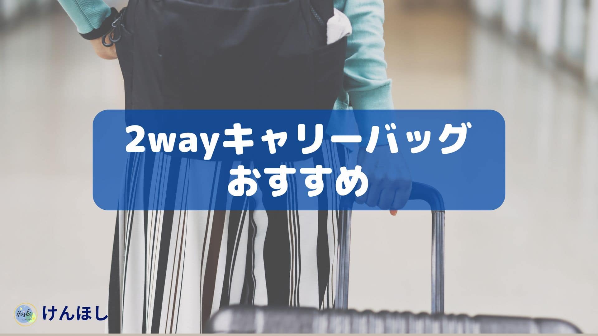 2wayキャリーバッグ2