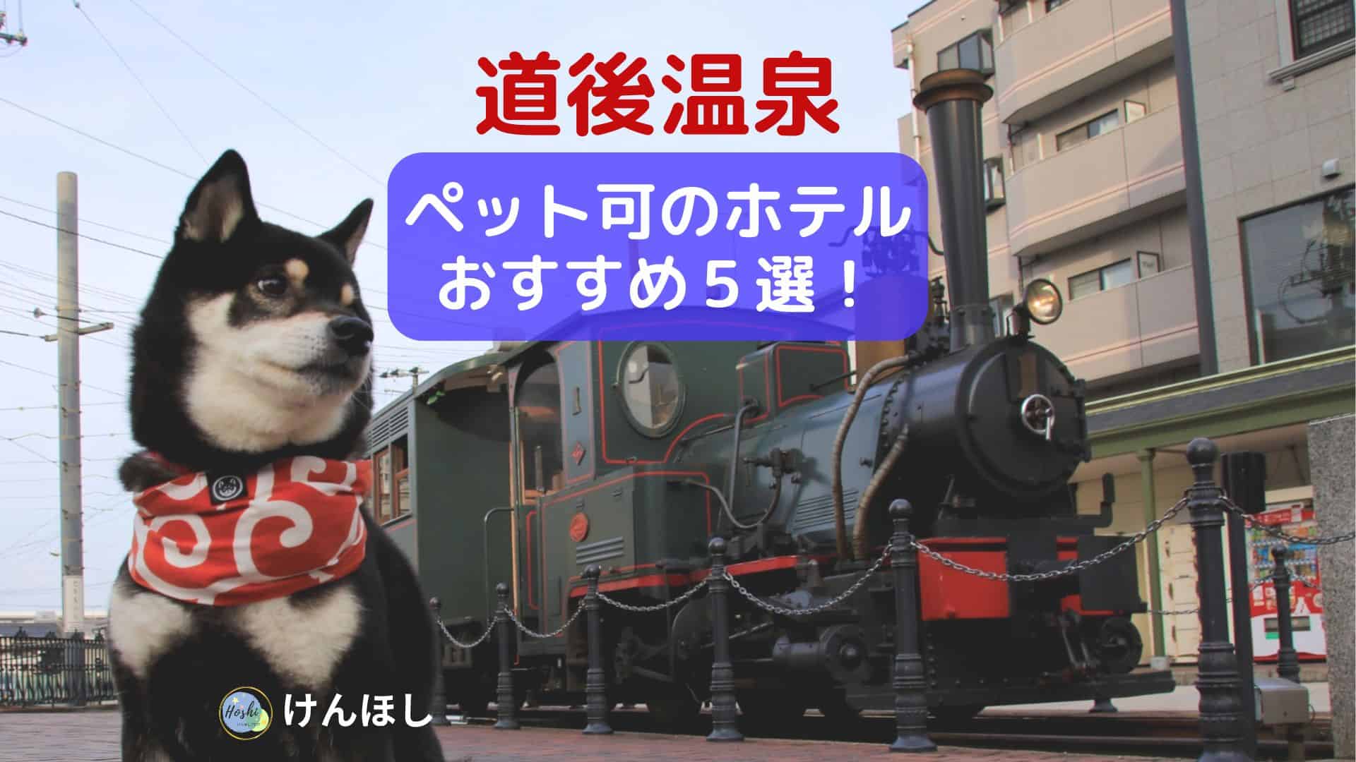 道後温泉でペット可のホテル5_2